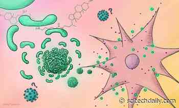 Ingredients That Make Vaccines More Effective Could Be Hiding in Small Molecule Libraries