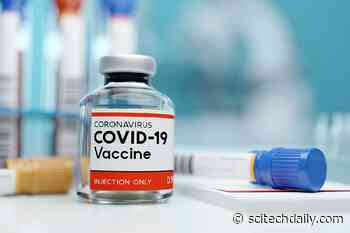 Experts Say COVID-19 Vaccine Rollout Unlikely Before Fall 2021