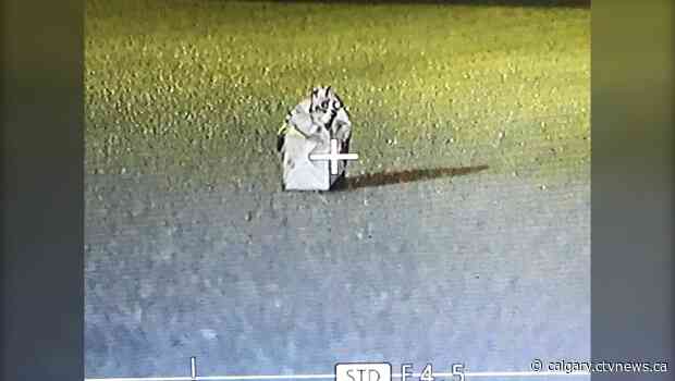 Police remove suspicious package discovered in middle of street in northwest Calgary