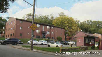 One Person Hospitalized After Spring Hill Shooting