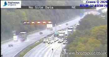 Cow stops traffic on M5 motorway