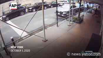 Actor Rick Moranis punched while on walk in NYC