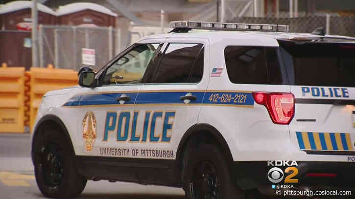 University Of Pittsburgh Police Searching For Indecent Assault Suspect