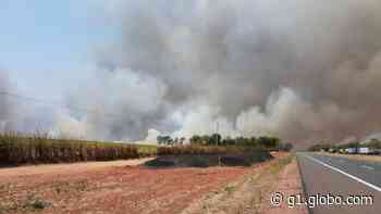 Bombeiros continuam combate a incêndio entre Tupaciguara e Monte Alegre de Minas - G1