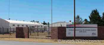 Coronel Suárez: proyectan instalar un reactor pirolítico para reducir residuos - La Voz del Pueblo