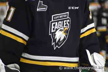 Cape Breton Eagles down Moncton Wildcats in preseason action Sunday - The Telegram