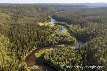 20 Things You Didn't Know About Wilderness