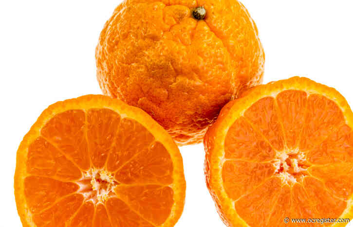 These Southern California developed fruit trees will flourish in your garden