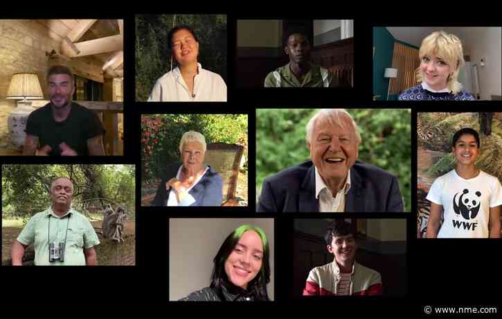 Watch David Attenborough answer questions from Billie Eilish and more famous fans