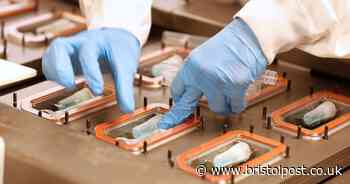 Bristol areas record rise of more than a hundred cases in a day