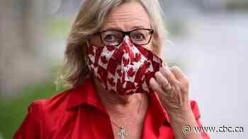 Green Party members to pick new leader today as Elizabeth May steps back