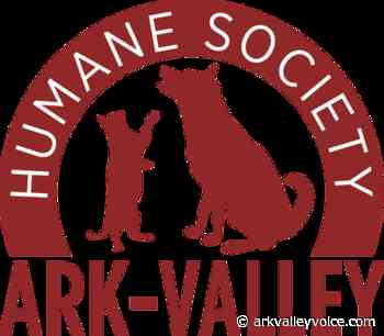 Ark-Valley Humane Society Fall Matching Campaign - by Brooke Gilmore - The Ark Valley Voice
