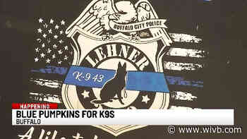 Blue pumpkins for sale in South Buffalo in honor of Lieutenant Craig Lehner