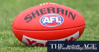 North Melbourne continue the coaching cull with assistants gone - The Age