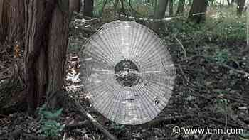 The spooky spiderweb that looks big enough to 'catch' a human