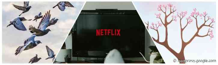 10x populair: seasonal SEO, profielverrijking & de verbluffende cultuur van Netflix