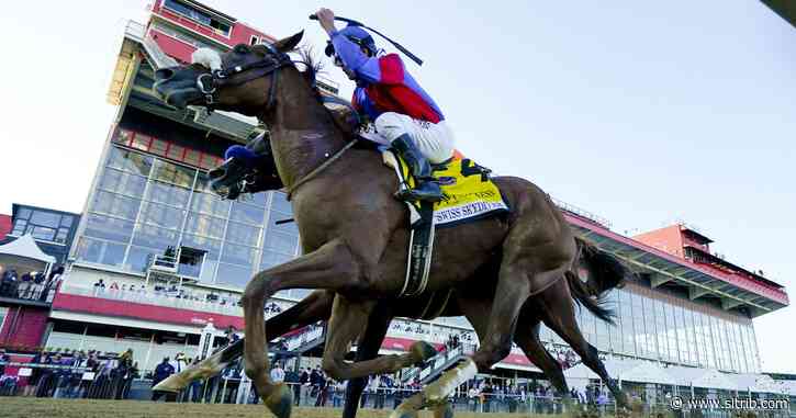 Winning filly: Swiss Skydiver beats Authentic in Preakness