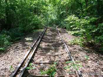 Mehr Reaktivierungen zwischen Ost und West gefordert - Freie Presse