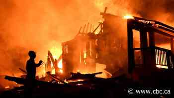 Why cleaning the forest could help fight fires — but it won't be easy