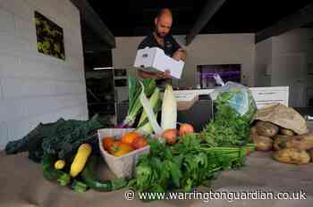 Growing at Field 28 team add veg boxes to their success story