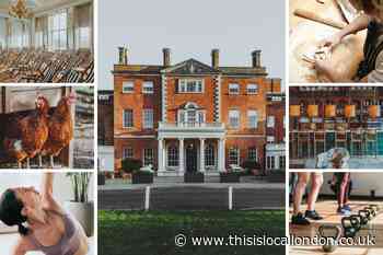 Review: Birch Hotel is a welcome escape from reality