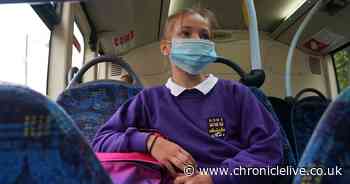 Children in Northumberland told to wear masks on school buses