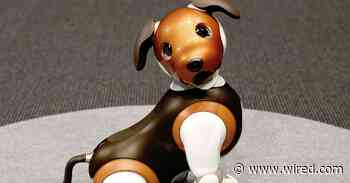 Robot Dogs Can Help Seniors Cope—Especially During Covid