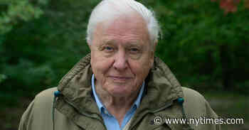 ‘David Attenborough: A Life on Our Planet’ Review: Ruin and Regrowth