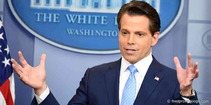 The White House will have more COVID-19 cases than New Zealand, says former Trump official Anthony Scaramucci