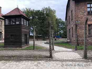 Auschwitz and the Architecture of the Reversed Gaze - E-Flux