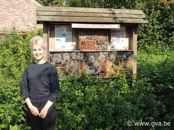 Gastvrije gemeente gaat bijenhotels plaatsen - Gazet van Antwerpen