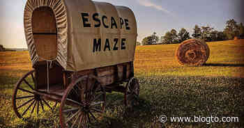 An outdoor haunted escape maze is now open near Toronto - blogTO