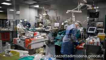 Lotta al Coronavirus: scoperto a Modena il meccanismo delle trombosi polmonari - La Gazzetta di Modena