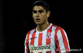 Galderisi prima del Modena: “Stramaccioni è un piccolo Chiellini” - Solo Vis Pesaro