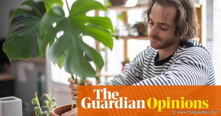 The Guardian view on houseplants: balm for troubled times | Editorial