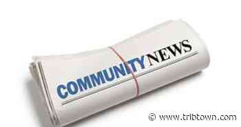 Grants to help local arts groups - Seymour Tribune