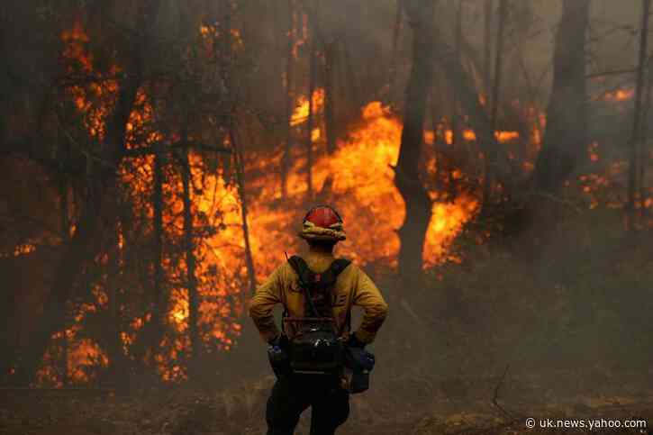 Record California wildfires burn over 4 million acres