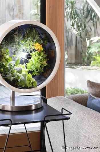 Best of futuristic tech we've seen in 2020 - Gadget Flow