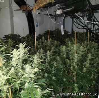 Man charged after police find cannabis farm on Gunning Avenue - St Helens Star
