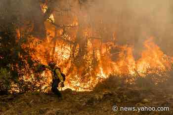 California's Sweeping Wildfires Have Now Burned Through More Than 4 Million Acres
