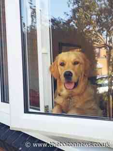 Horwich pooch wins UK's cutest dog competition