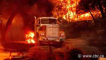 California wildfires set new record with more than 1.6 million hectares of land burned