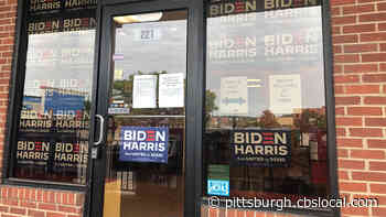 Volunteers With Biden-Harris Campaign Distribute Signs In The Area