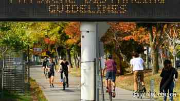 Public health urges people to stick to their own household, but there could be relief for those living alone