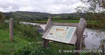 Houseboat owners likely to lose prized moorings