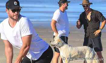 Chris Hemsworth and brothers Liam and Luke enjoy a day at the beach with their families - Daily Mail
