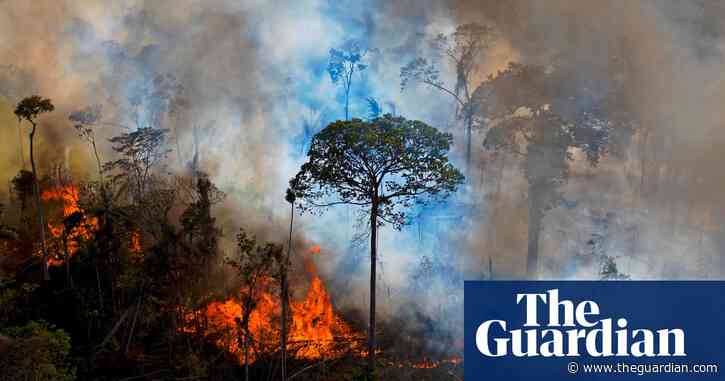 Amazon near tipping point of switching from rainforest to savannah – study