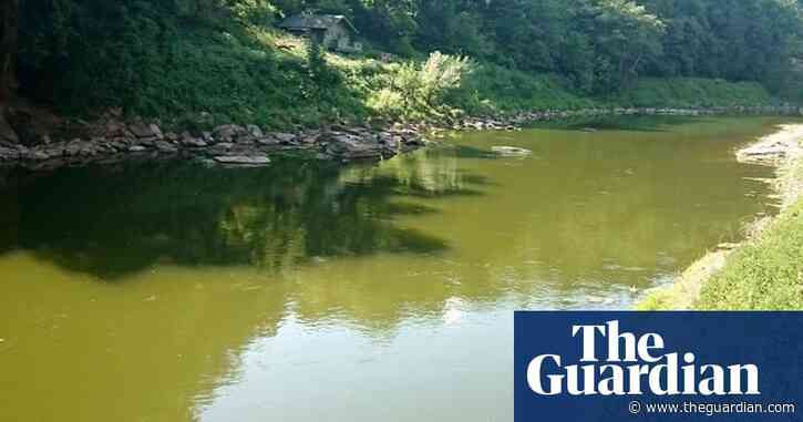 River pollution leads to Welsh demand for halt to intensive poultry units