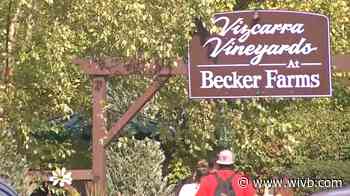 Becker Farms introducing drive-thru attraction in lieu of hayride