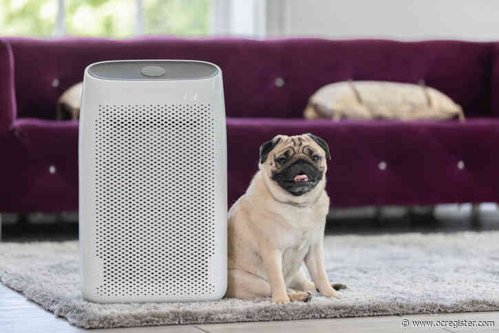 How air filters can help clean the air and keep you healthy during wildfire season